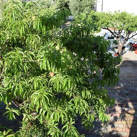 Mare E Terme A Guardia Piemontese Apartmán *