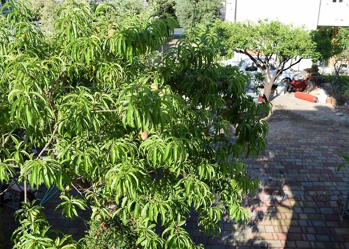 Mare E Terme A Guardia Piemontese Apartmán *